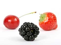 Beeren